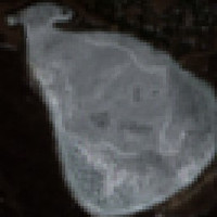 Zeden Lake - May 06, 2026