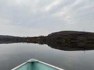 North West corner of Jaysmith Lake where it burnt super hard.
