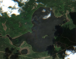 First Mustus Lake