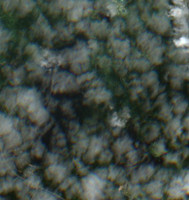 Little Fishing Lake - Jul 24, 2026