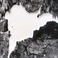 Alsmith Lake - Feb 20, 2026