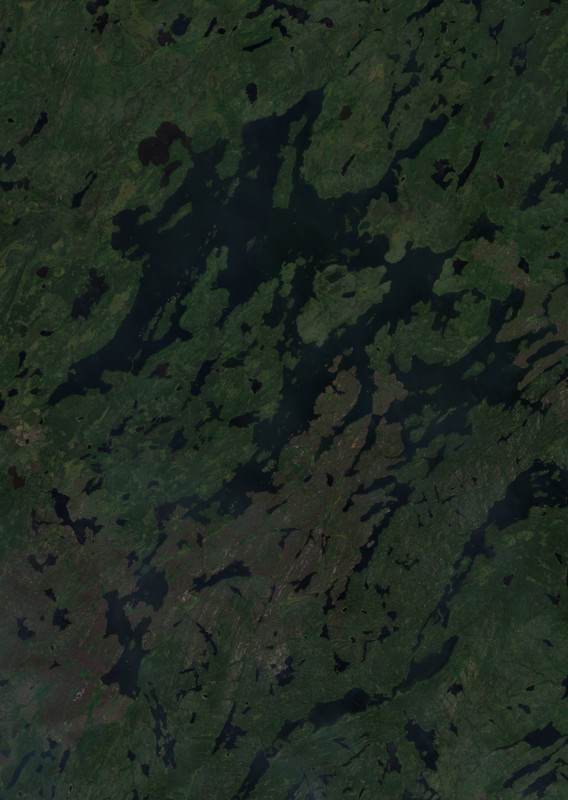 Daly Lake - Jul 17 - Jul 24