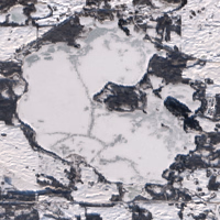 Shell Lake - Jan 26, 2026