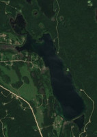 Young Loon Lake