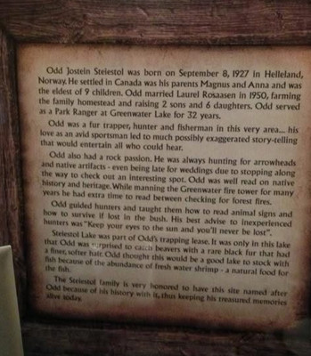 Biography information of Odd Steiestol.