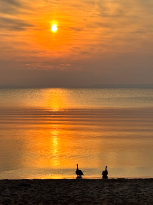 Beautiful sunset