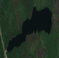 Sealey Lake - Jul 24, 2026