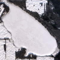 Round Lake - Jan 26, 2026