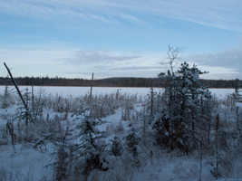 Exploring the North end of the lake with snowshoes