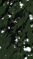 Davin Lake - Jul 24, 2026