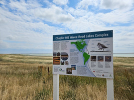 Information Sign at Reed Lake Lookout Tower 