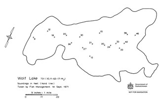 Wolf Lake