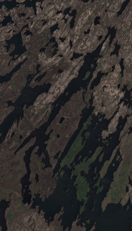 Triveet Lake - May 24 - May 31