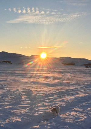 Sun, snow and big skies. Sask beauty.