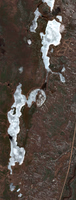 Durocher Lake