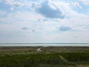 View from the Lookout Tower 
June 2025