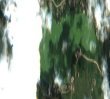 Perch Lake - Jul 24, 2026