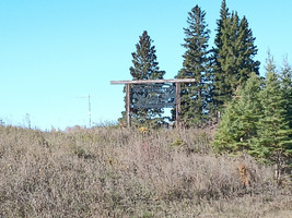 Nelson Crossing sign. Hard to see in a photo. Looks very neat in person.