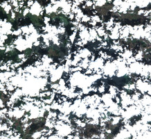 Lac la Plonge