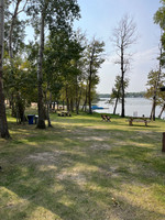 Picnic areas by the beach.