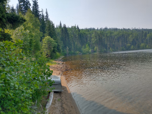 View of the shoreline.