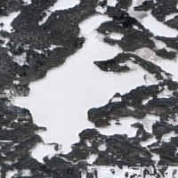 Marean Lake - Feb 12, 2026