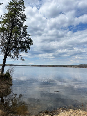 Jacobson Bay at Anglin Lake. 