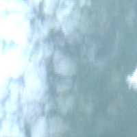 Ted's Lake