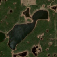 Bittern Lake