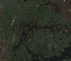 Loon Lake