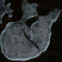 Fern Lake - May 09, 2026