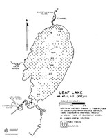 Leaf Lake