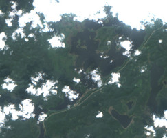 Anglin Lake