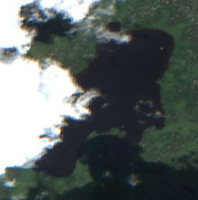 See Lake - Jul 24, 2026