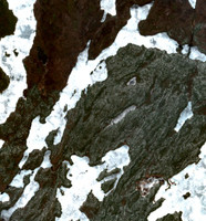 Reed Lake - May 21, 2026