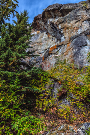 Looking up to the Rock paintings