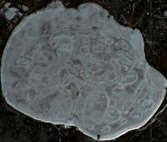 Namekus Lake - May 09, 2026