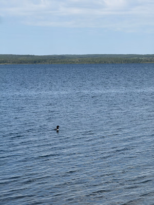 Shell Lake Beach