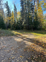 Turn around at the boat launch.