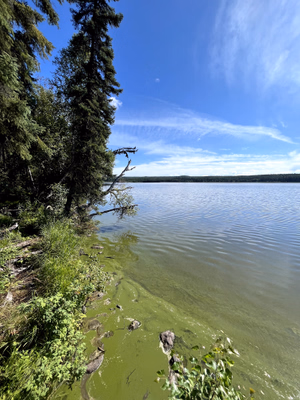 Lake shoreline.