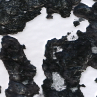 Clement Lake - Feb 12, 2026