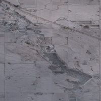 Nickle Lake - Dec 21, 2025