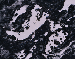 Tulabi Lake - Jan 18, 2026