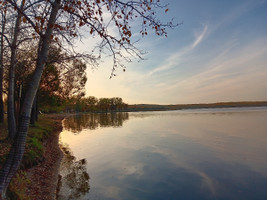 View near the beach.