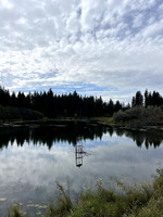 View of the pond.