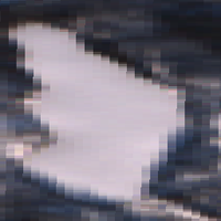 Shannon Lake - Dec 12, 2025