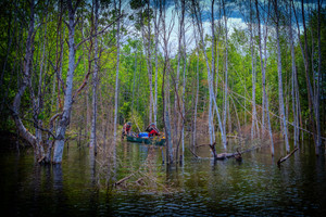 Flooded conditions due to a large beaver dam