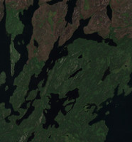 Reed Lake
