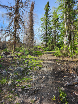 Portage to Davis Lake