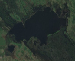 Dog Lake